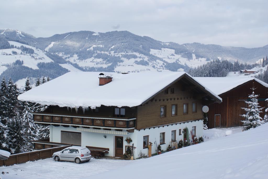 Pension Chalet Bergseegut 瓦格赖恩 外观 照片