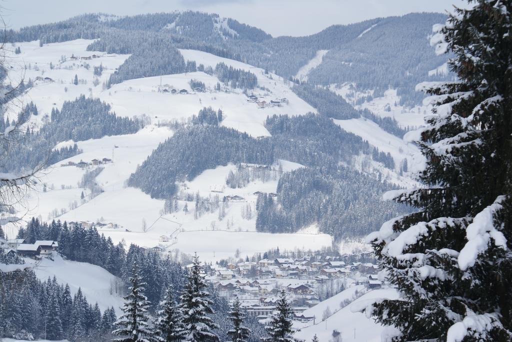 Pension Chalet Bergseegut 瓦格赖恩 外观 照片