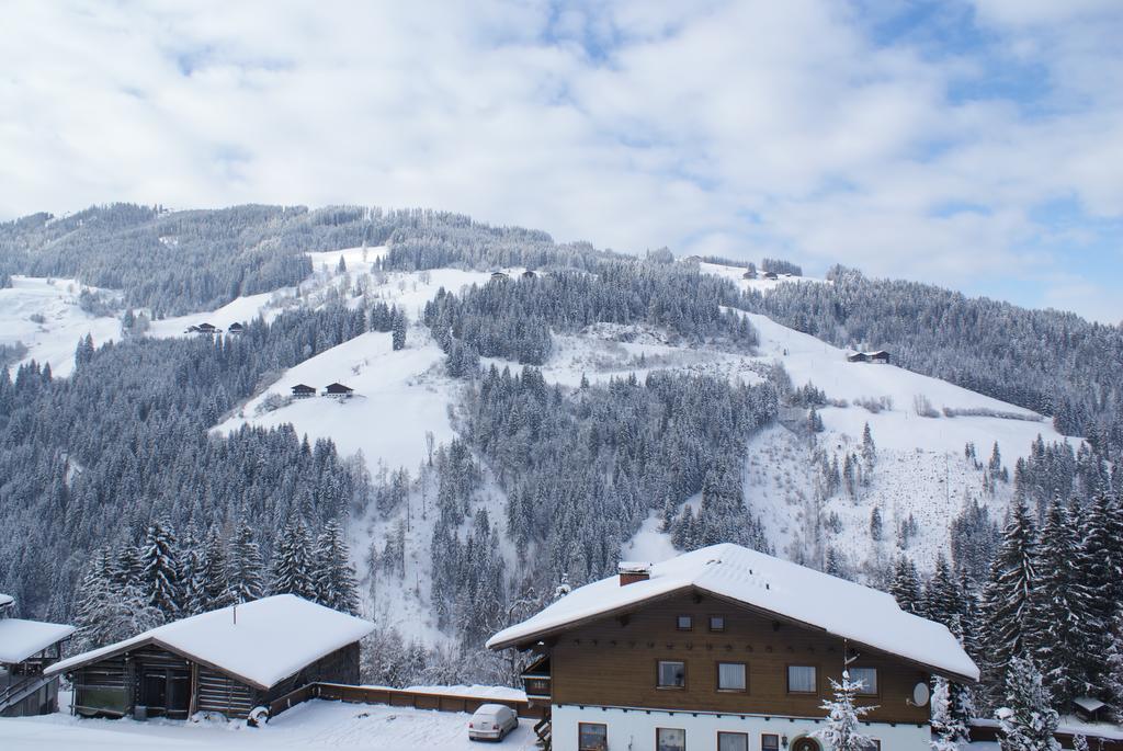 Pension Chalet Bergseegut 瓦格赖恩 外观 照片