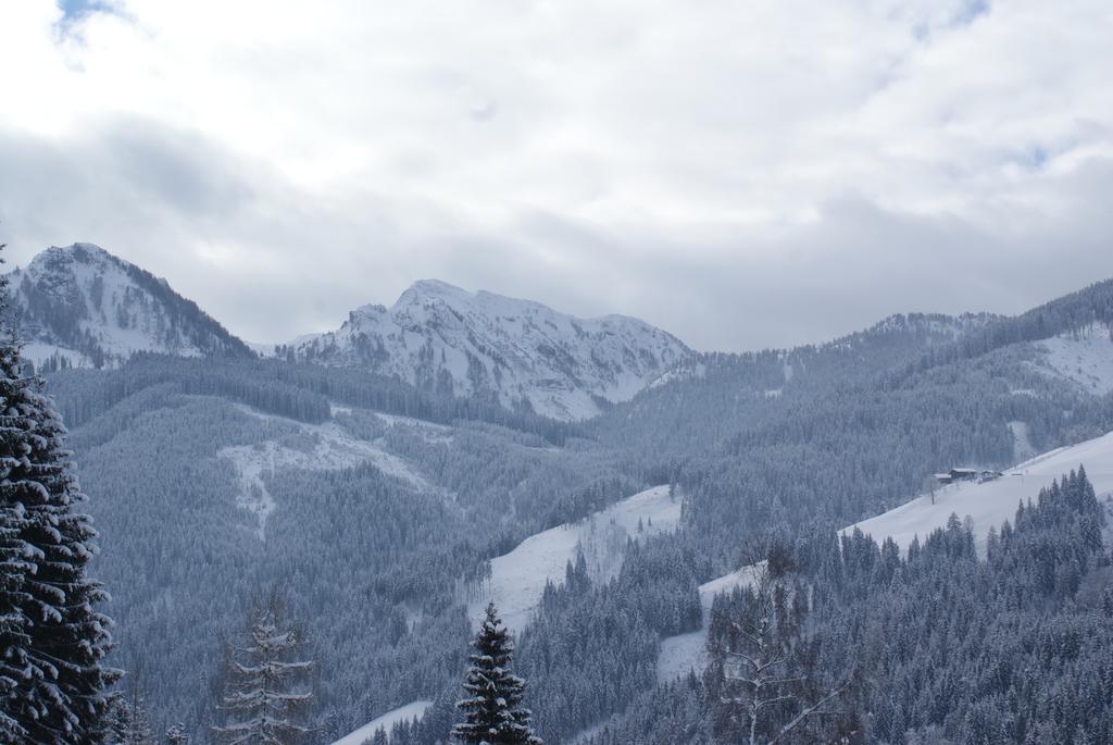 Pension Chalet Bergseegut 瓦格赖恩 外观 照片