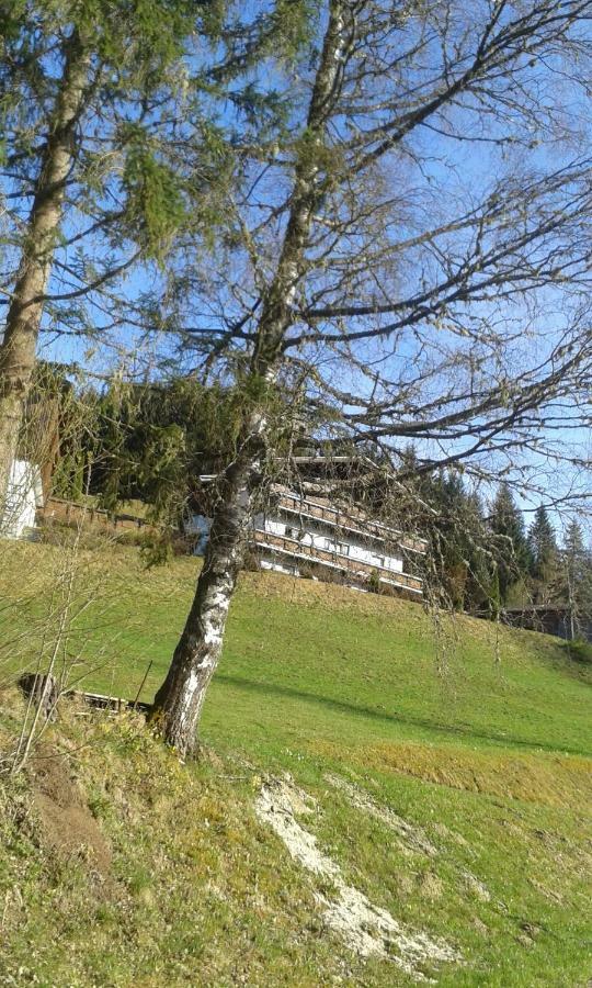 Pension Chalet Bergseegut 瓦格赖恩 外观 照片