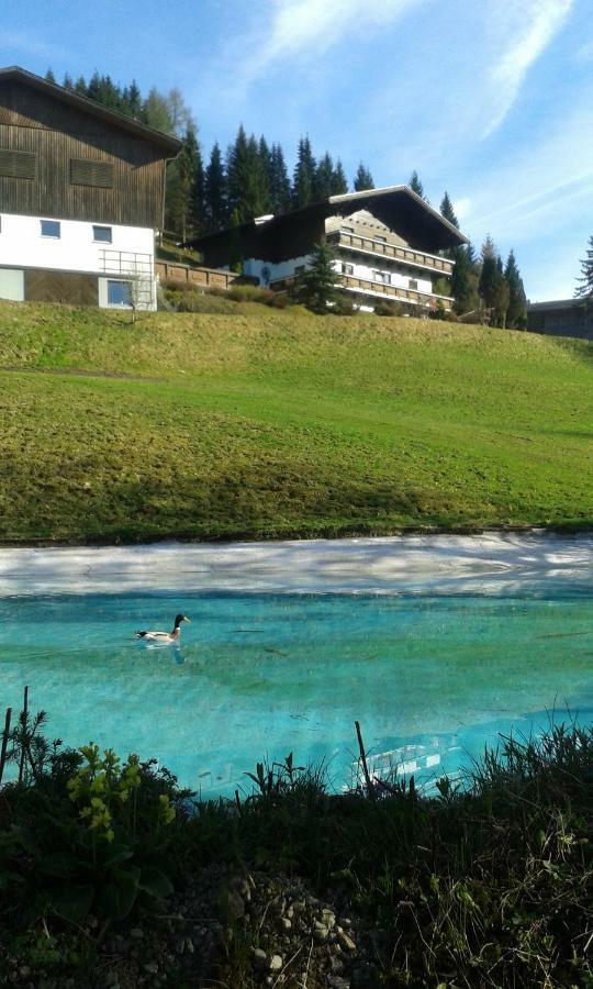 Pension Chalet Bergseegut 瓦格赖恩 外观 照片