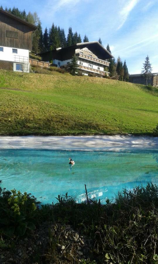 Pension Chalet Bergseegut 瓦格赖恩 外观 照片