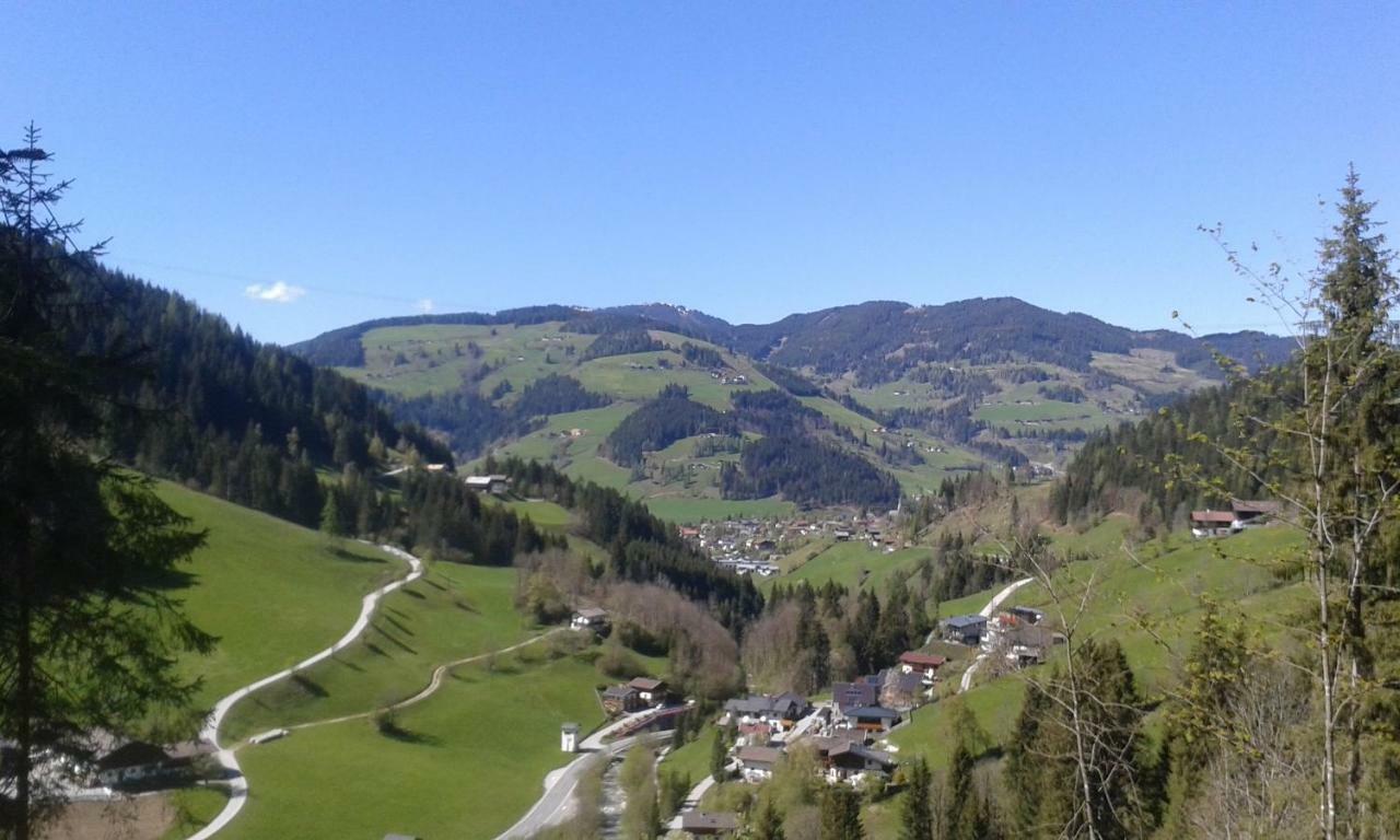 Pension Chalet Bergseegut 瓦格赖恩 外观 照片