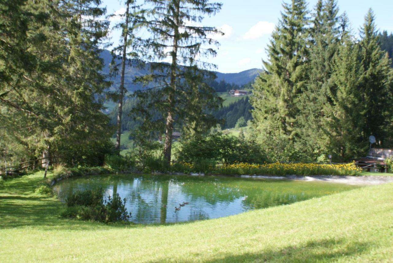 Pension Chalet Bergseegut 瓦格赖恩 外观 照片