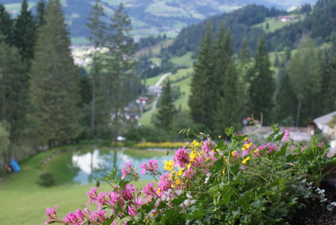 Pension Chalet Bergseegut 瓦格赖恩 外观 照片