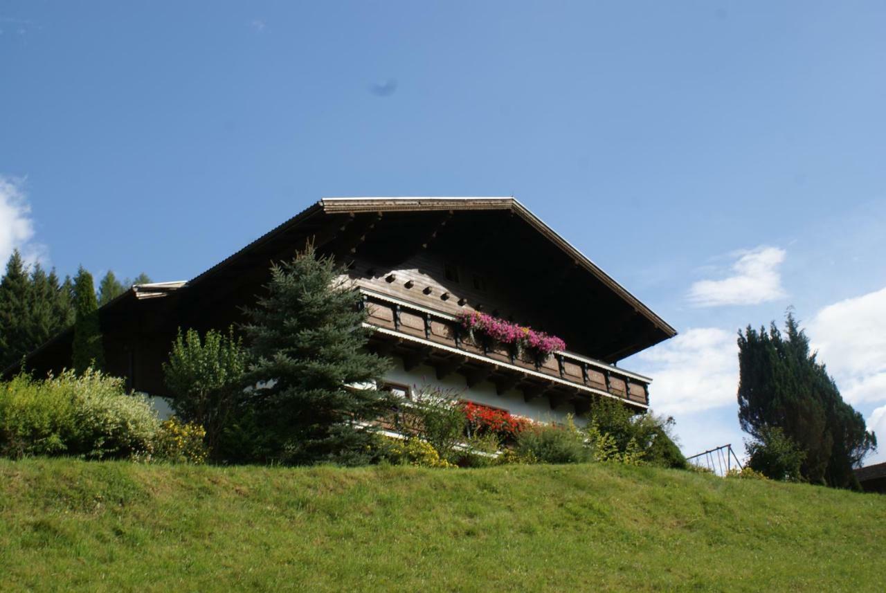 Pension Chalet Bergseegut 瓦格赖恩 外观 照片