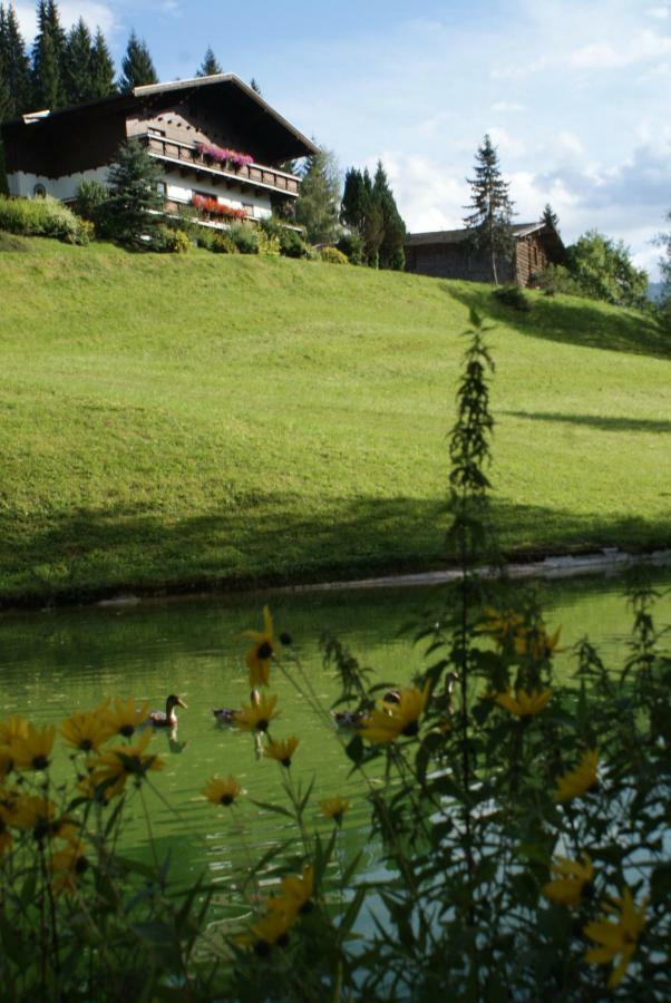 Pension Chalet Bergseegut 瓦格赖恩 外观 照片