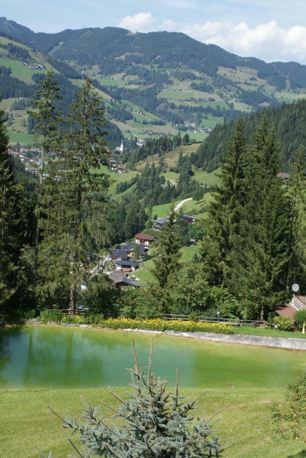 Pension Chalet Bergseegut 瓦格赖恩 外观 照片