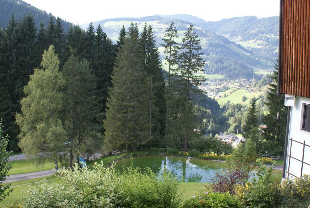 Pension Chalet Bergseegut 瓦格赖恩 外观 照片