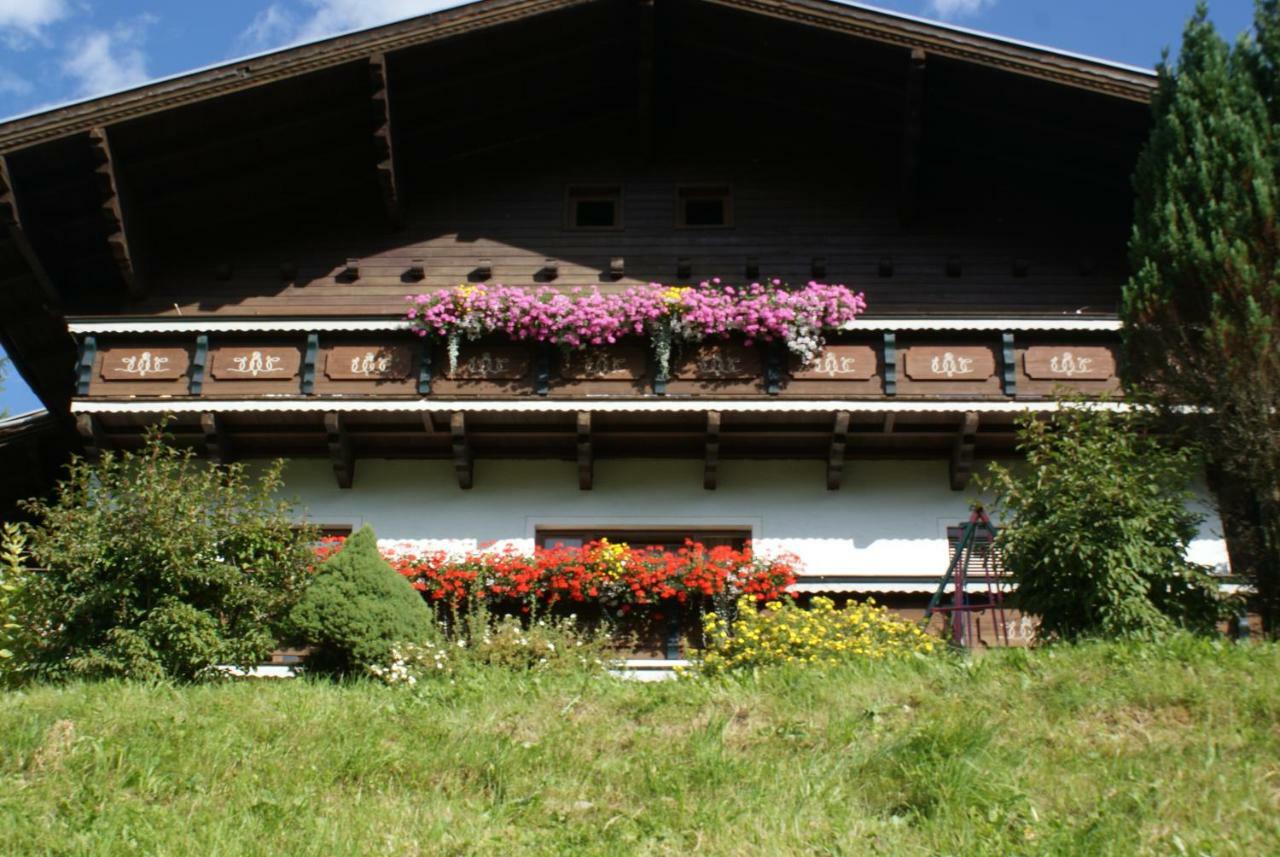 Pension Chalet Bergseegut 瓦格赖恩 外观 照片