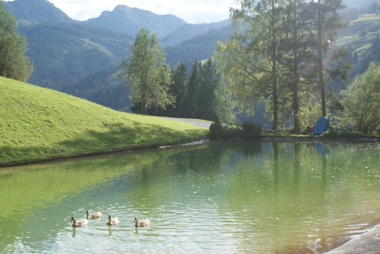 Pension Chalet Bergseegut 瓦格赖恩 外观 照片