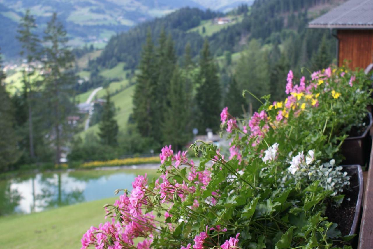 Pension Chalet Bergseegut 瓦格赖恩 外观 照片