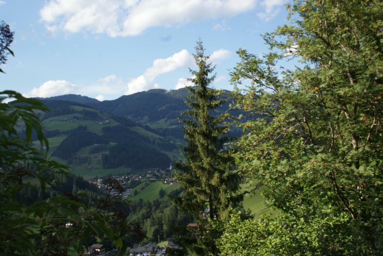 Pension Chalet Bergseegut 瓦格赖恩 外观 照片