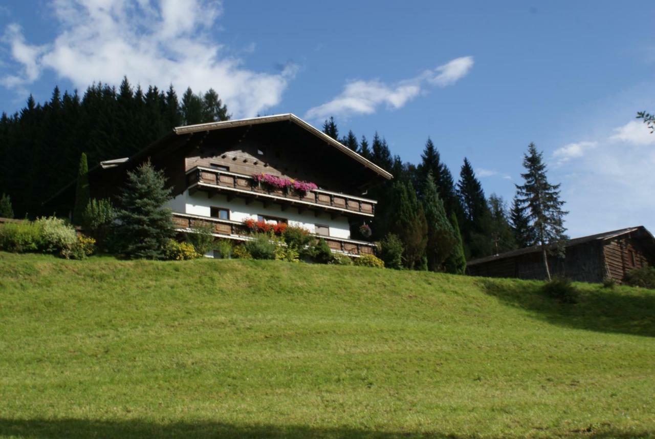 Pension Chalet Bergseegut 瓦格赖恩 外观 照片