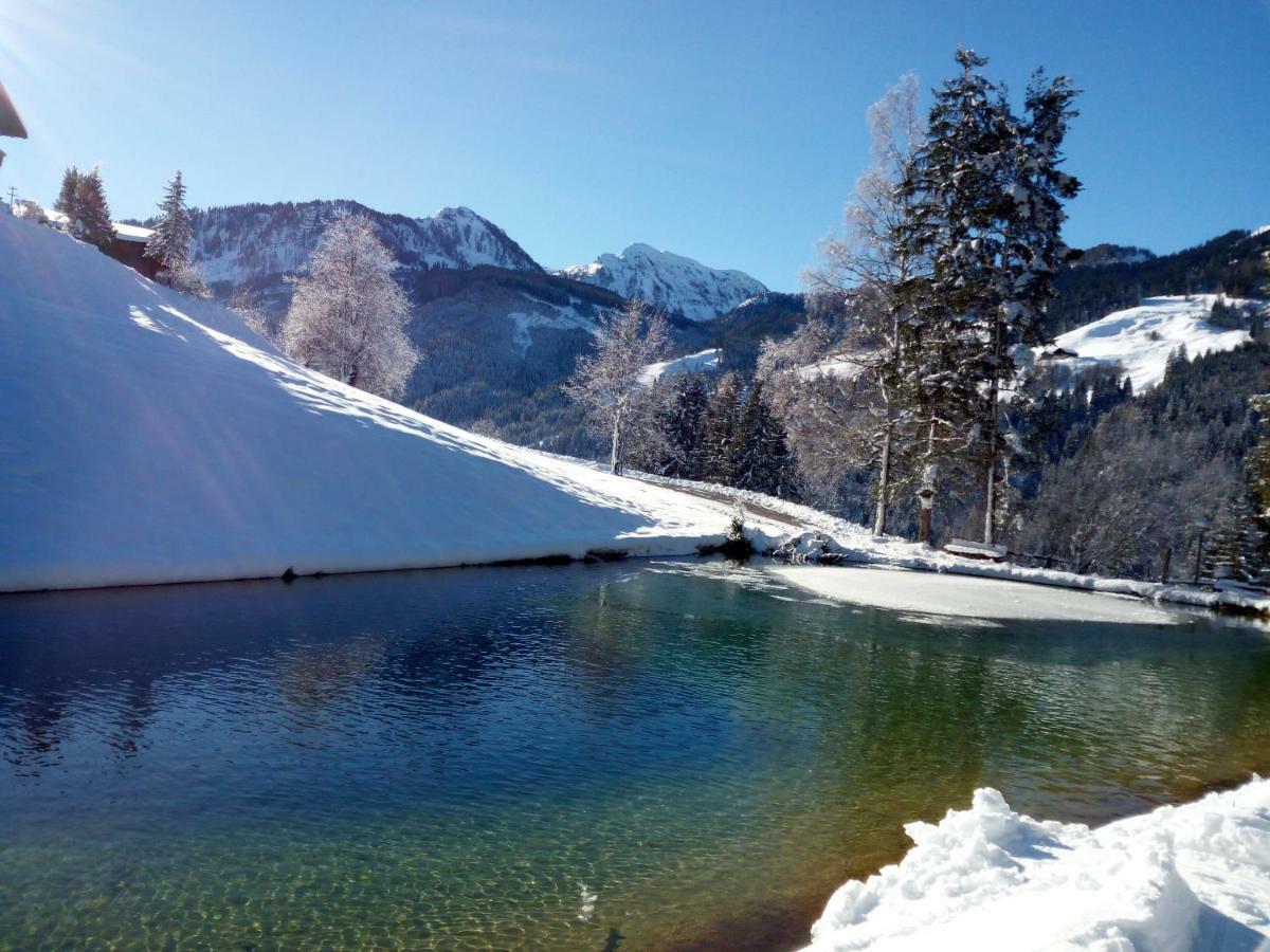 Pension Chalet Bergseegut 瓦格赖恩 外观 照片