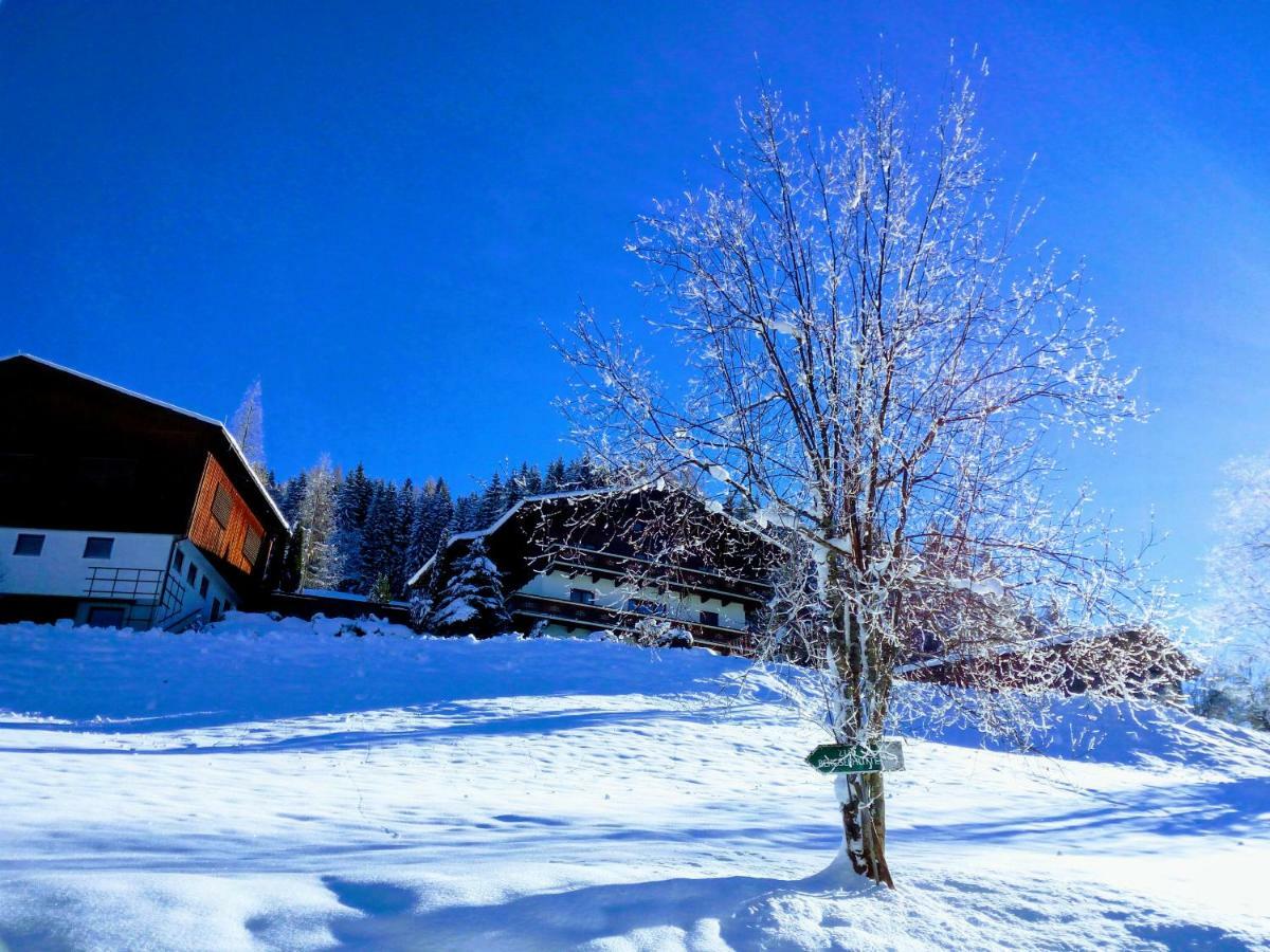 Pension Chalet Bergseegut 瓦格赖恩 外观 照片
