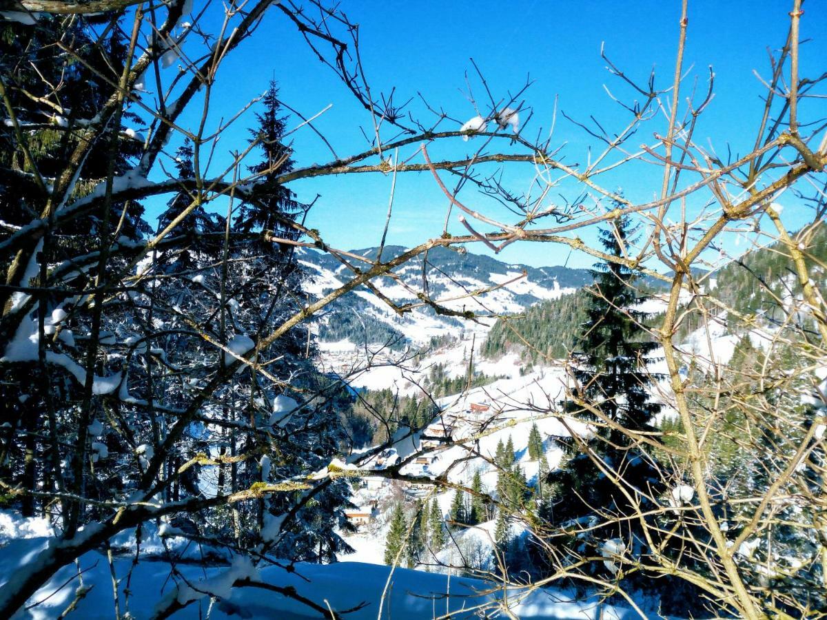 Pension Chalet Bergseegut 瓦格赖恩 外观 照片