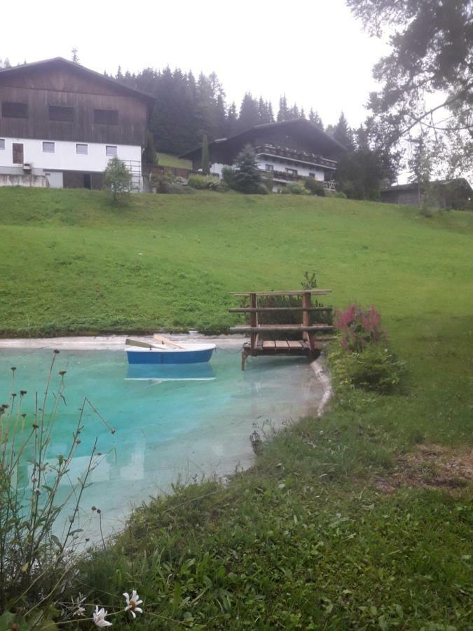 Pension Chalet Bergseegut 瓦格赖恩 外观 照片