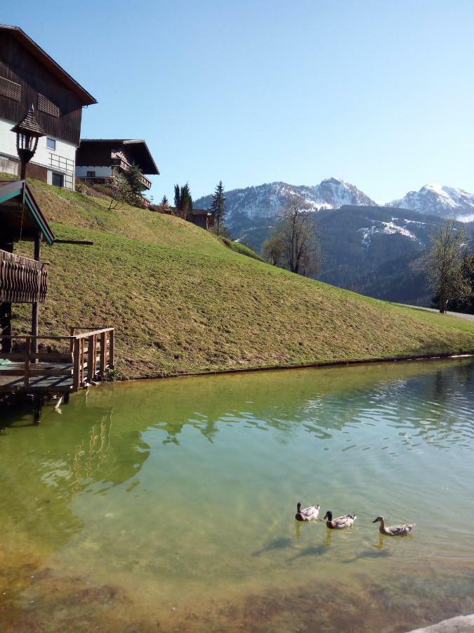 Pension Chalet Bergseegut 瓦格赖恩 外观 照片