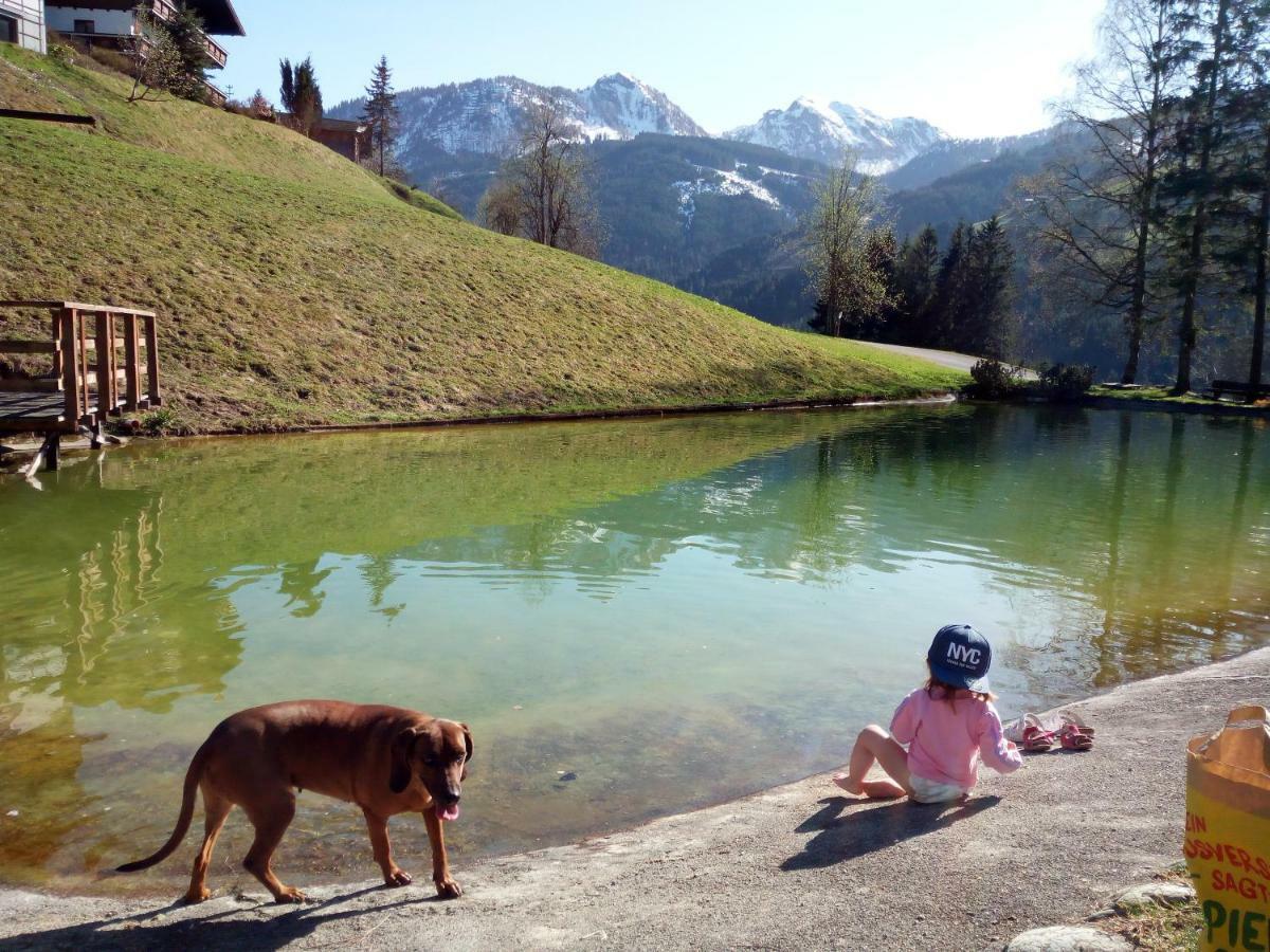 Pension Chalet Bergseegut 瓦格赖恩 外观 照片